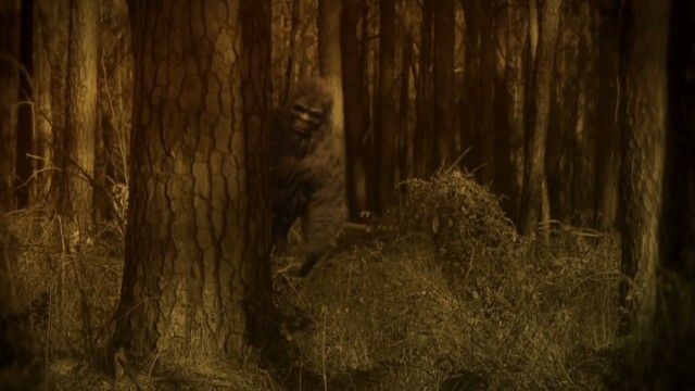 Beast of the Bayou