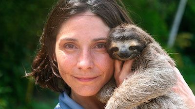 A Sloth Named Velcro