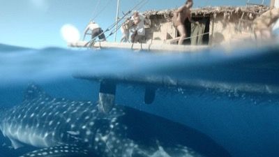 Das Kon-Tiki-Abenteuer