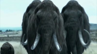 Woolly Mammoth: The Autopsy