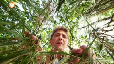 S34E07 - Ameisen - Rettet die Königin