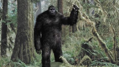 Bigfoot: New Evidence