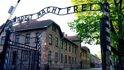 Touched by Auschwitz