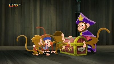 The Monkey Pirate King