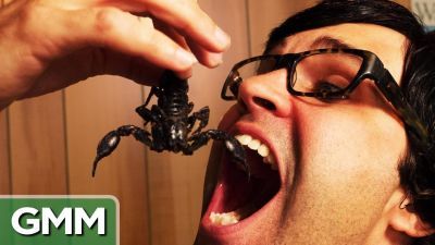 Eating a Scorpion: Bug War Challenge
