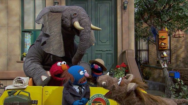 Grover's Street Safari