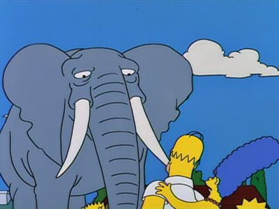 Bart Gets an Elephant