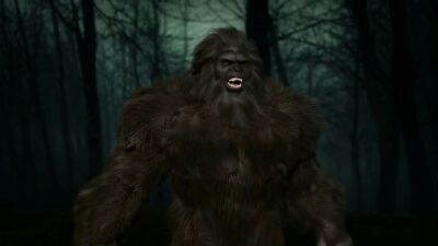 Bigfoot of Wood County: The Phantom of the Forest