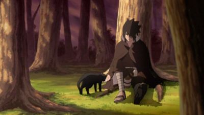 Naruto Shippuden, Sasuke's Story: Sunrise, Part 1: The Exploding Human