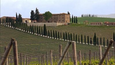 Siena and Tuscany's Wine Country