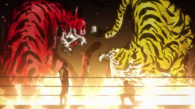 The Fierce Tigers Clash Again