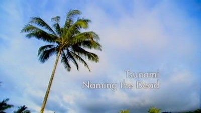 Tsunami: Naming the Dead