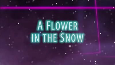 A Flower in the Snow
