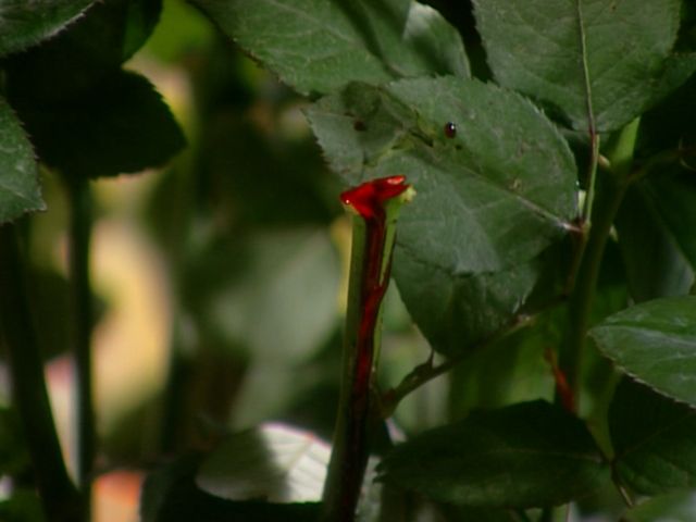 Soul Mate - Season 1 - Episode 151