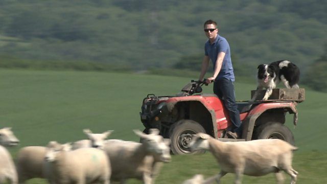 Britain's Food and Farming: The Brexit Effect