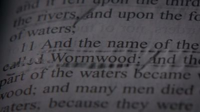 The Wormwood Prophecy