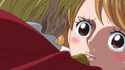 The End of the Adventure! Sanji's Resolute Proposal