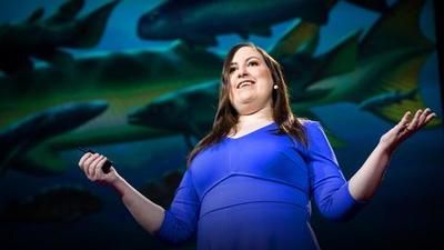 Lauren Sallan: How to win at evolution and survive a mass extinction