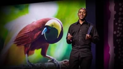 Washington Wachira: For the love of birds