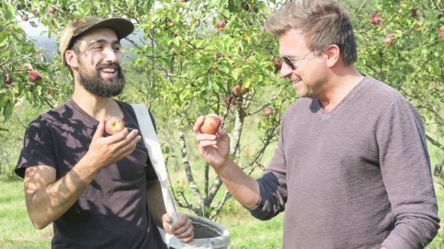 Home is Where the Booze Is