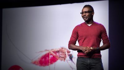 Fredros Okumu: Why I study the most dangerous animal on earth -- mosquitoes