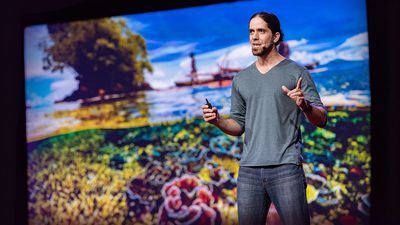 Mike Gil: Could fish social networks help us save coral reefs?
