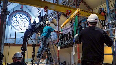 One of Our Dinosaurs is Moving