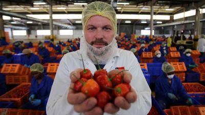 Sweet Piquante Peppers, The Plastic Crisis, Yoghurt