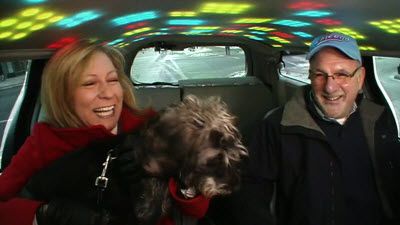 Chicago: Dog Taxi