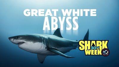 Great White Abyss