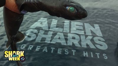 Ridiculous Cakes: 30th Anniversary of Shark Week