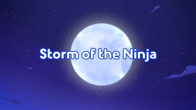 Storm of the Ninja