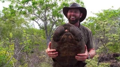 The Galapagos Giant