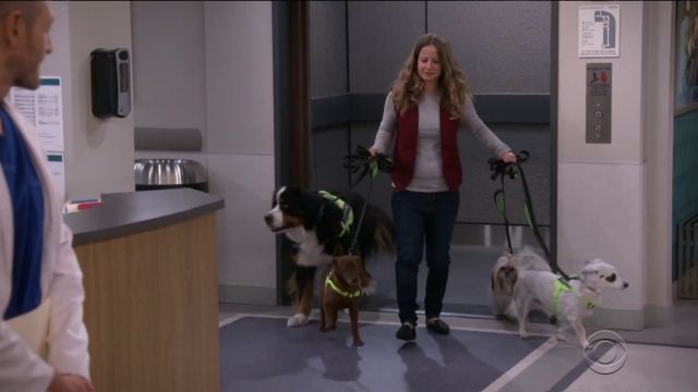Therapy Dogs