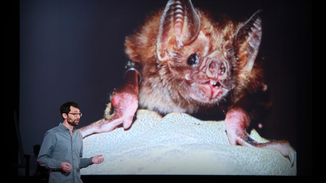 Daniel Streicker: What vaccinating vampire bats can teach us about pandemics