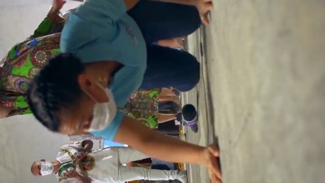 Carnavírus