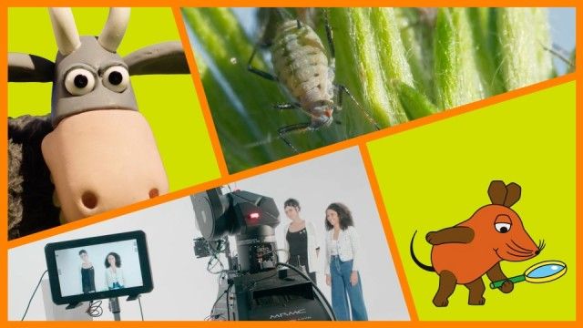 Die Sendung mit der Maus - Season 2024 - Episode 39