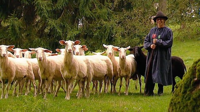 Die Sendung mit der Maus - Season 2020 - Episode 15