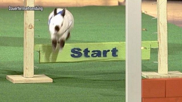 TV Total - Season 2011 - Episode 102