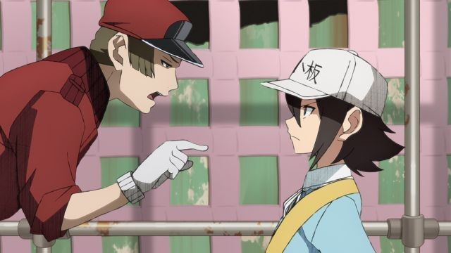 Watch the latest Cells at Work! BLACK Episode 9 online with