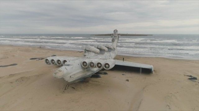 The Beached Leviathan