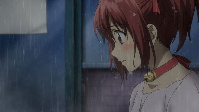 Rain & Tears