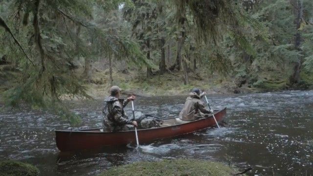 Southeast Alaska Blacktail Deer