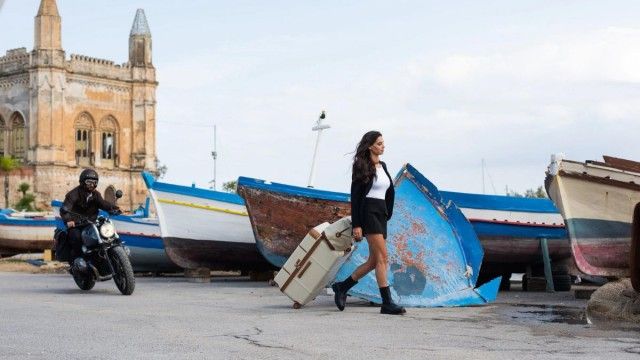 All the Colours of Viola