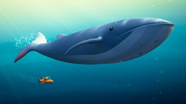 Blue Whale Rescue