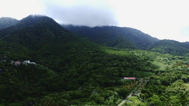 Rock 'N' Roll Island