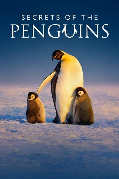 Miniseries