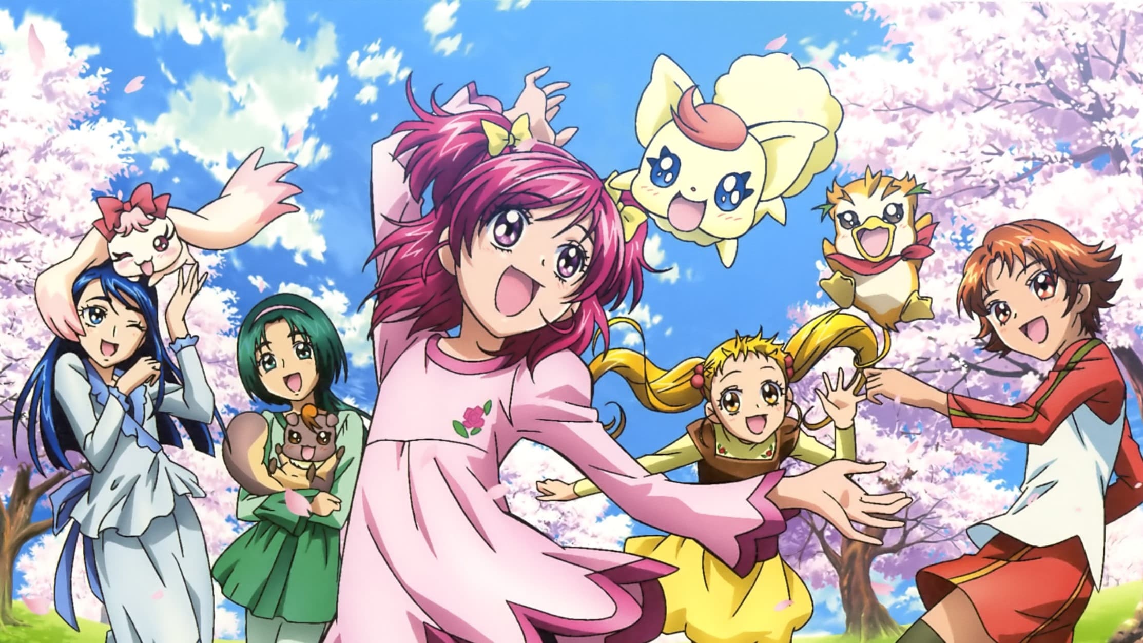 The Qualifications of Pretty Cure