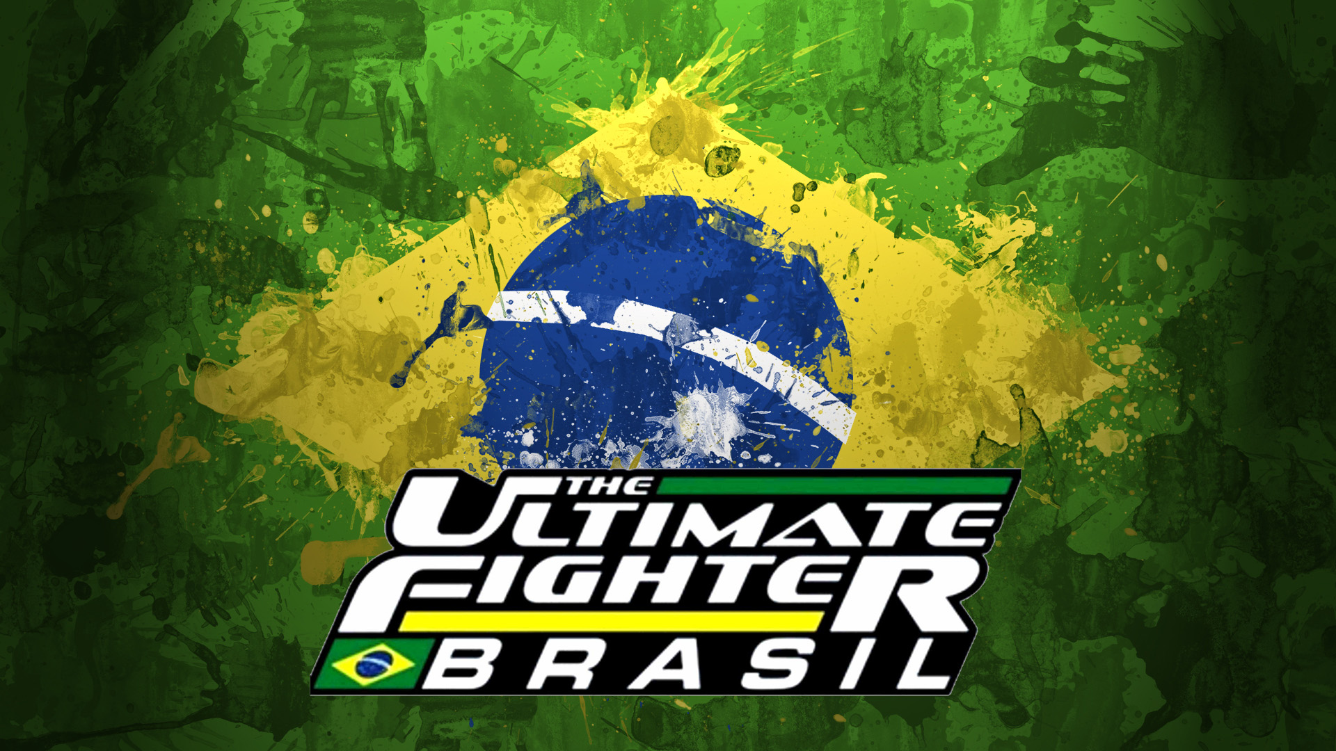 UFC 147