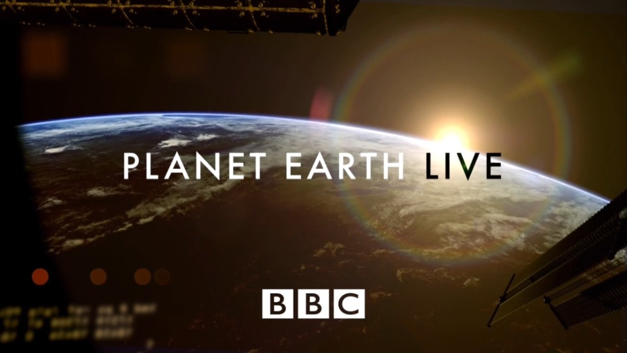 Living planet. Peace earth. Living on earth. Living on earth. Наш дом: как жить на планете земля (2020).